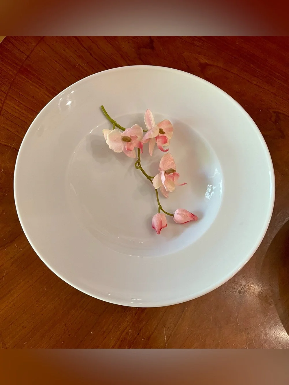 2 Sur La Table White Bistro 12” Rimmed Pasta Bowls, TWO/ 2 Sets Avlb. NO BUNDLES